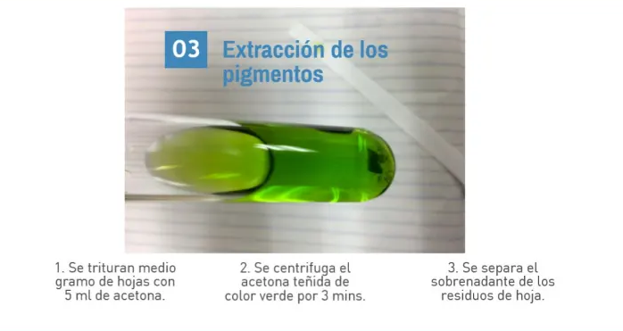 Noticia